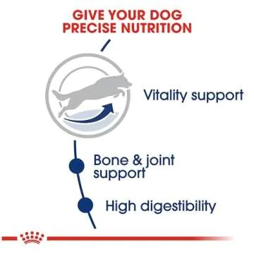 Royal Canin Large Adult 5+ Dog Food for Healthy Aging