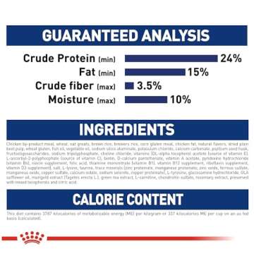 Royal Canin Large Adult 5+ Dry Dog Food for Older Dogs, 30 lb bag