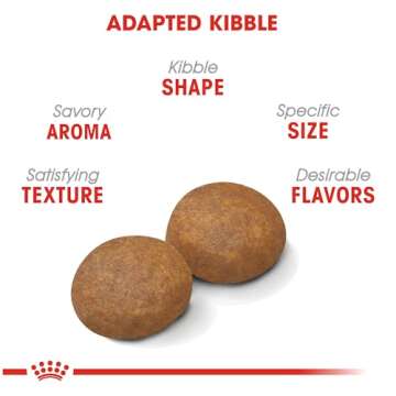 Royal Canin Large Adult 5+ Dry Dog Food for Older Dogs, 30 lb bag