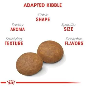 Royal Canin Large Adult 5+ Dog Food for Healthy Aging