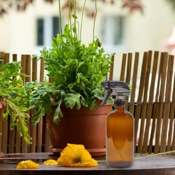 Shop Amber Glass Spray Bottle Set for Eco-Friendly Cleaning