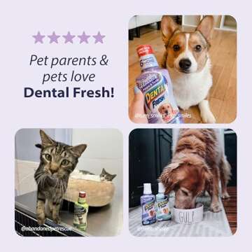 Dental Fresh Advanced 8oz Dog Breath Freshener Water Additive