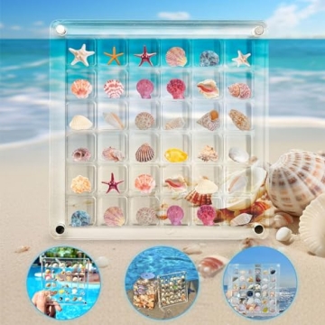 Artlunar 36 Grids Acrylic Display Box for Mini Seashells
