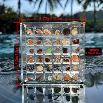 Artlunar 36 Grids Acrylic Display Box for Mini Seashells