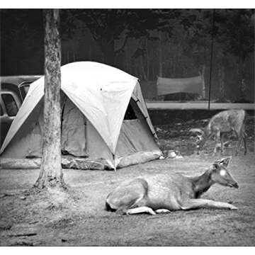 Night Owl iGEN 20/20 Day/Night Vision Monocular (3X) , Black