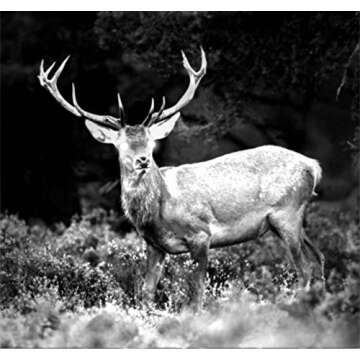 Night Owl iGEN 20/20 Day/Night Vision Monocular (3X) , Black