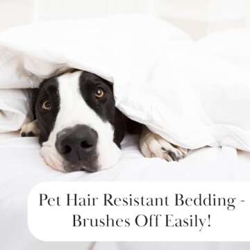 Southshore Quilts for Full/Queen Beds, Easy Care & Stylish