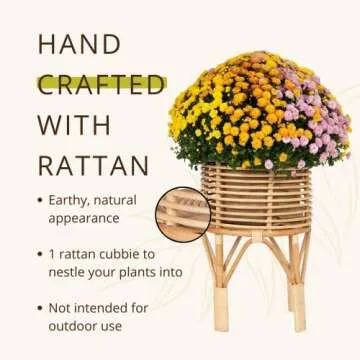 Buy KOUBOO Rattan Plant Stand for Indoor Use