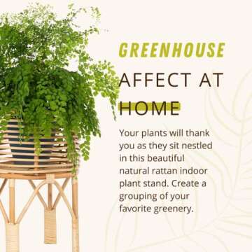 KOUBOO Rattan Indoor Plant Stand, Small, Natural Planter Brown