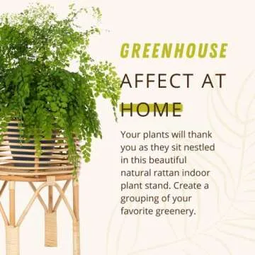 Buy KOUBOO Rattan Plant Stand for Indoor Use