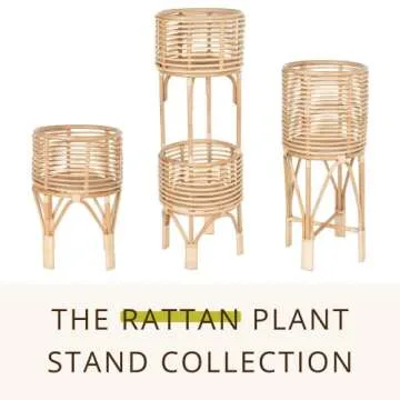 Buy KOUBOO Rattan Plant Stand for Indoor Use