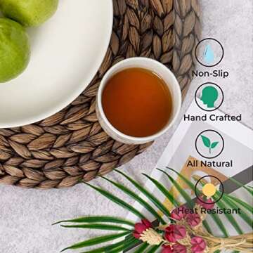 BARIEN Rustic Woven Placemats Set 6 Natural Water Hyacinth