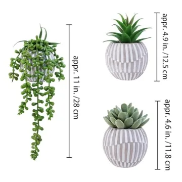 Winlyn 3 Pack of Realistic Artificial Succulents