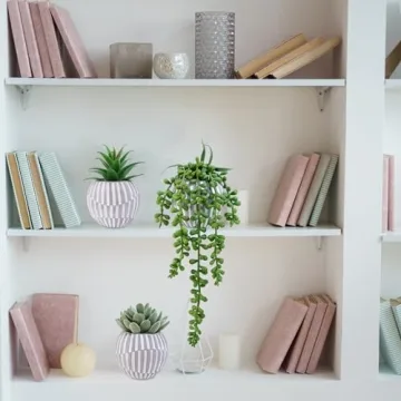 Winlyn 3 Pack of Realistic Artificial Succulents