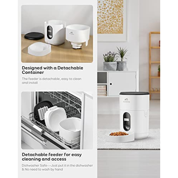 Eccomas Automatic Feeder for Cats - Hassle-Free Feeding Solution