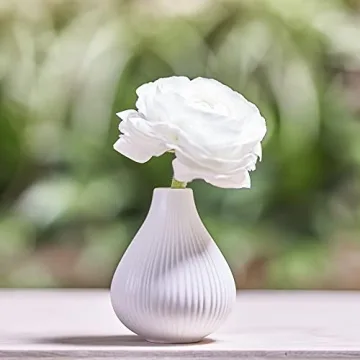 Chive Frost Ceramic Flower Vase Set of 6 for Stylish Decor