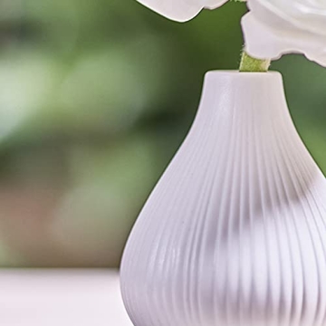 Chive Frost Ceramic Flower Vase Set of 6 for Stylish Decor