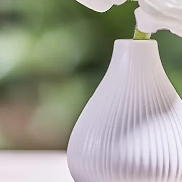 Chive Frost Ceramic Flower Vase Set of 6 for Stylish Decor