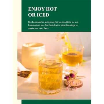 GLDNT Organic Decaf Green Tea Bags - 100 Count