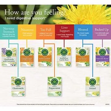 Traditional Medicinals Organic Ginger Aid Herbal Tea, Promotes Healthy Digestion, (Pack of 1) - 16 T...