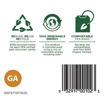 Traditional Medicinals Organic Ginger Aid Herbal Tea, Promotes Healthy Digestion, (Pack of 1) - 16 Tea Bags