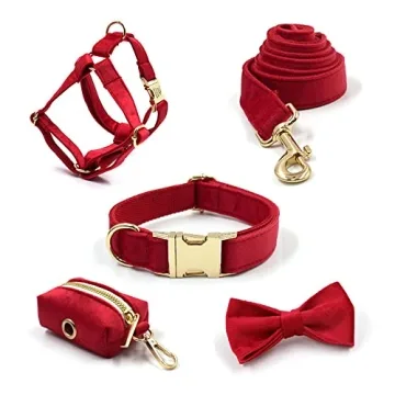 Custom Dog Collar with Engraved Name and Durable Buckle