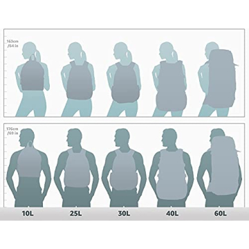 Affordable Everest Luggage Classic Backpack for Travel