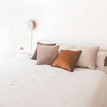 MONDAY MOOSE Decorative Throw Pillow Covers Cushion Cases, Set of 4 Soft Velvet Modern Double-Sided ...