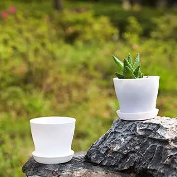 Vibrant TDHDIKE Plastic Planters - 10 Durable Pots