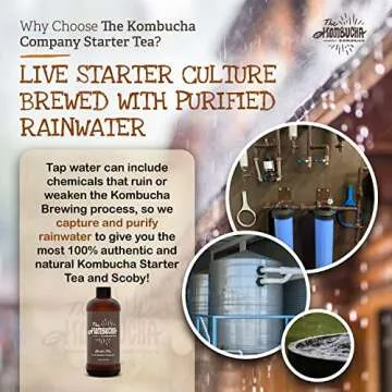 Kombucha Starter Tea | Grow SCOBY and Brew at Home