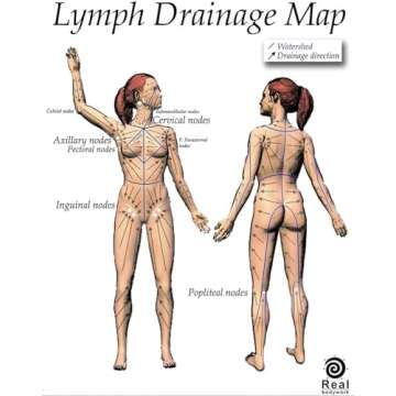 de la heart Wooden Lymphatic Body Massage Tool for Massage Therapy