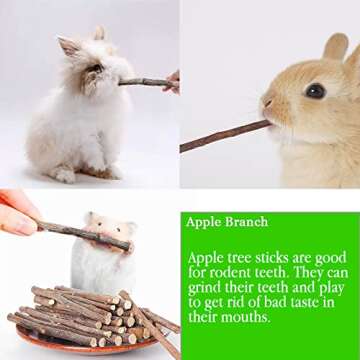 VCZONE Natural Apple Stick Set, Small Animals Chew Toys for Guinea Pig Rabbits Hamster Chinchilla Squirrel Bunny, Apple Wood Stick Toys Teeth Grinding