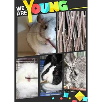 VCZONE Natural Apple Stick Set, Small Animals Chew Toys for Guinea Pig Rabbits Hamster Chinchilla Squirrel Bunny, Apple Wood Stick Toys Teeth Grinding