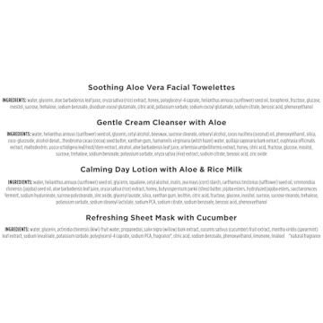 Burt's Bees Gentle Skin Care Christmas Gift Set