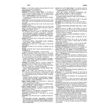 Merriam-Webster's Dictionary and Thesaurus Hardcover