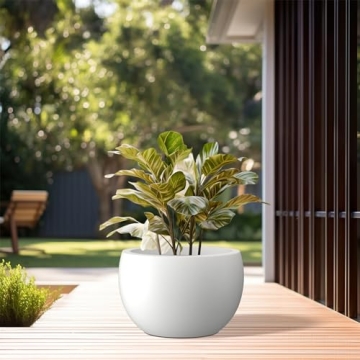 Kante 11.8" Round Concrete Planter for Indoor Outdoor Living