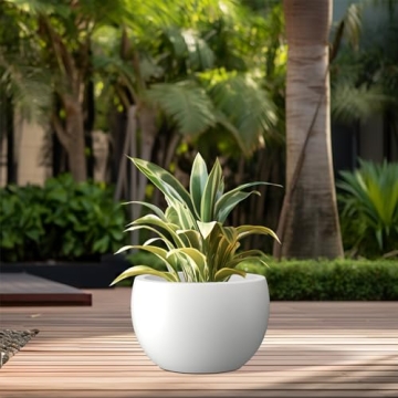 Kante 11.8" Round Concrete Planter for Indoor Outdoor Living