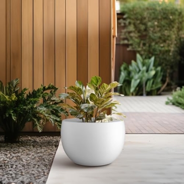 Kante 11.8" Round Concrete Planter for Indoor Outdoor Living