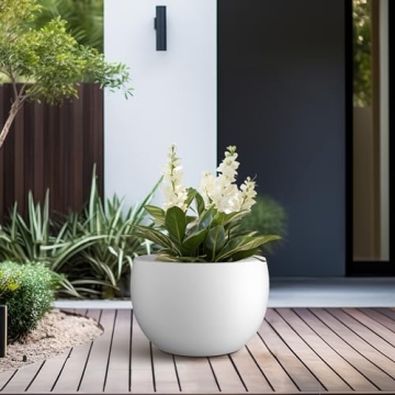 Kante 11.8" Round Concrete Planter for Indoor Outdoor Living