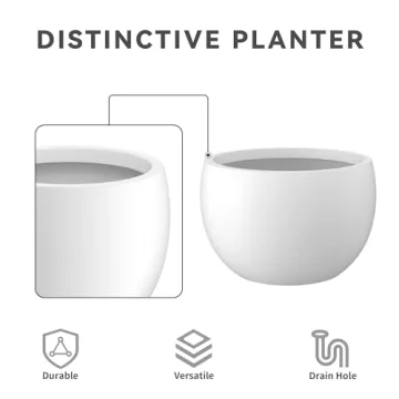 Kante 11.8" Round Concrete Planter for Indoor Outdoor Living