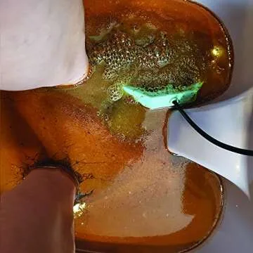 Cell Spa, Fir Belt Chi Ionic Ion Detox Machine Foot Bath Aqua Spa Cleanse With Twice Powerful CS-900 Array (NO SALT PACKAGE)