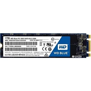 Western Digital 1TB Blue 3D NAND Internal SSD for Fast Performance