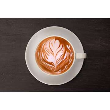 White Chocolate Café Sauce™ by Hollander Chocolate Co. | Perfect for the Professional or Home Barista | Rainforest Alliance Certified | Gluten-Free, Soy-Free, Corn Syrup-Free | Net Wt. 91oz (64 fl. Oz.) Large Bottle (PUMP Included)