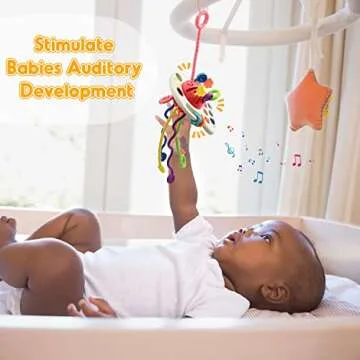 AiTuiTui Montessori Baby Toys for Sensory Learning and Play