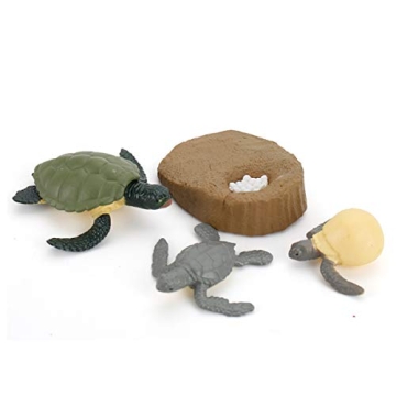 4 PCS Sea Turtle Growth Life Cycle Educational Model Set