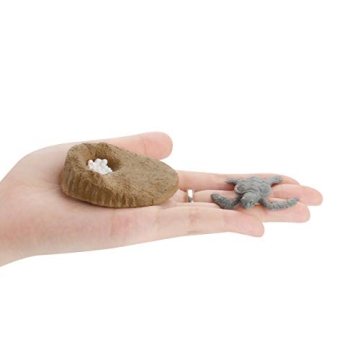 4 PCS Sea Turtle Growth Life Cycle Educational Model Set