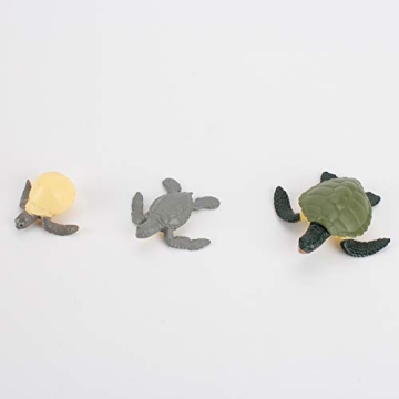 4 PCS Sea Turtle Growth Life Cycle Educational Model Set