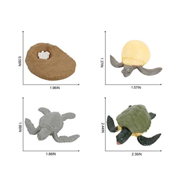4 PCS Sea Turtle Growth Life Cycle Educational Model Set
