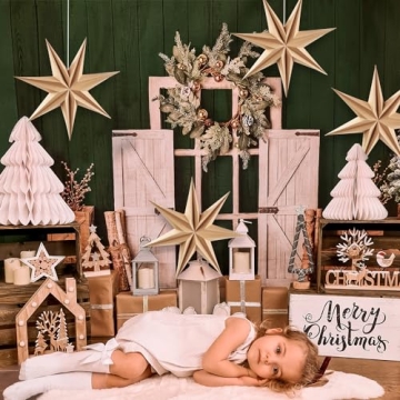 Elegant SUNBEAUTY 3 Pcs Rustic 7-Pointed Star Lanterns