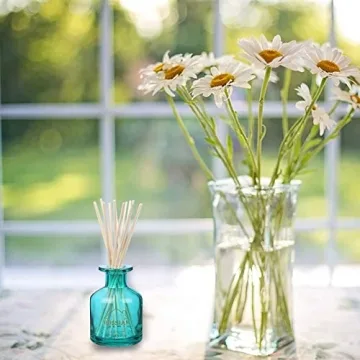 HOSSIAN Reed Diffuser Sticks for Lasting Fragrance